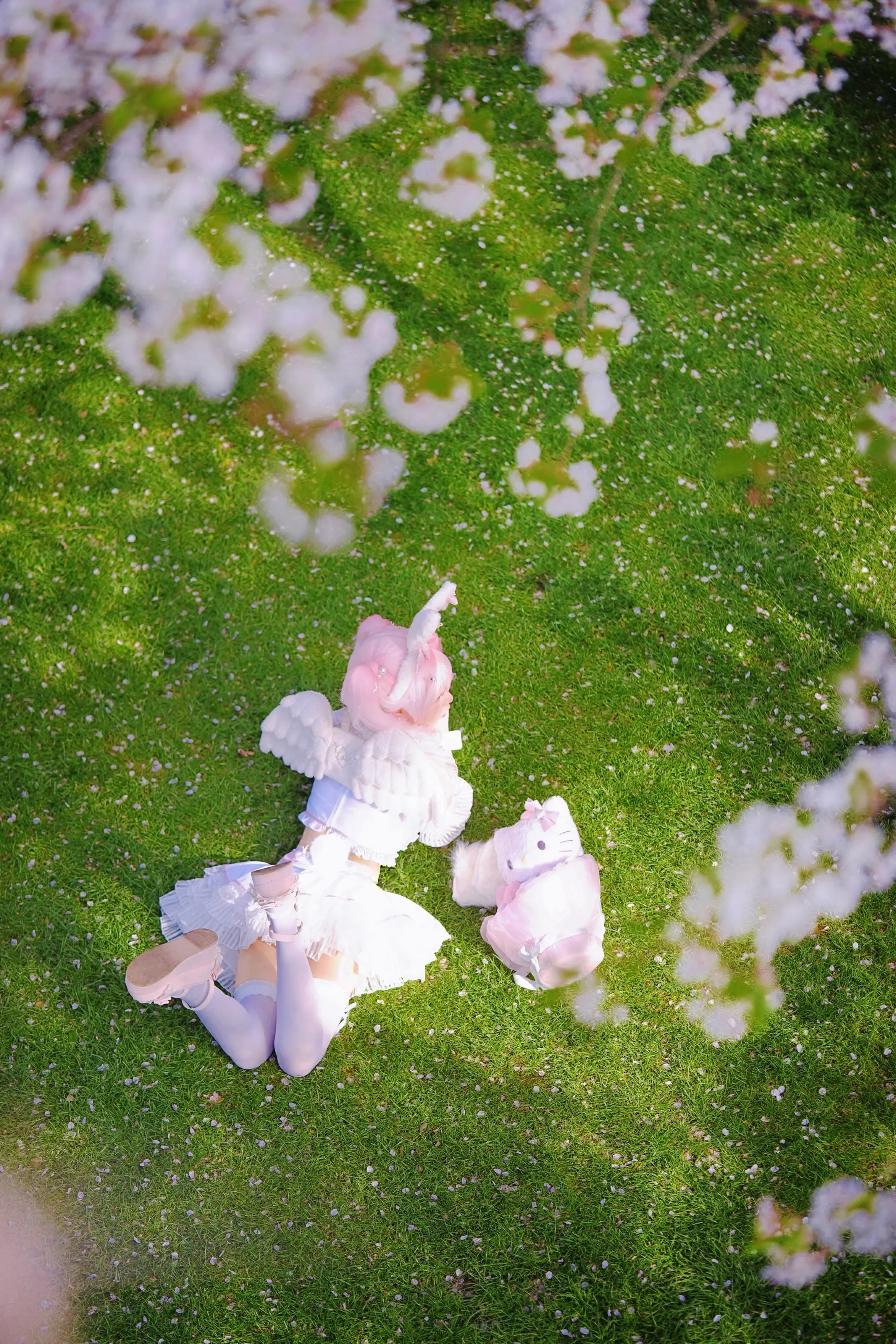 我的人生 是一万次的春和景明🌸。