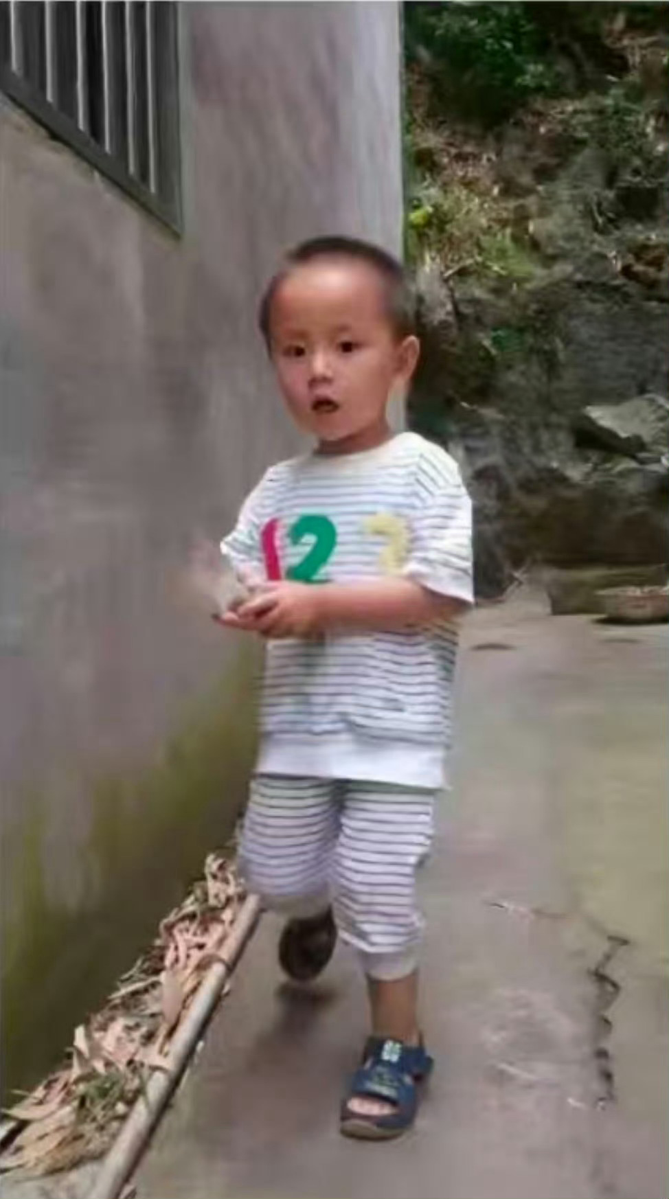 我去哪来的小卤蛋 