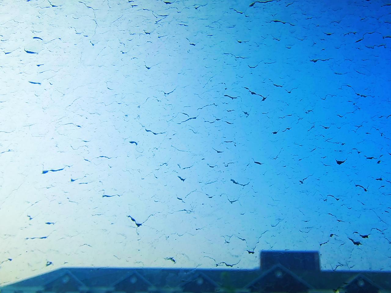 下过雨的早晨，推开窗户，那天空就像被仔细洗漱过，尘埃都没了踪影。我随手一拍，把这