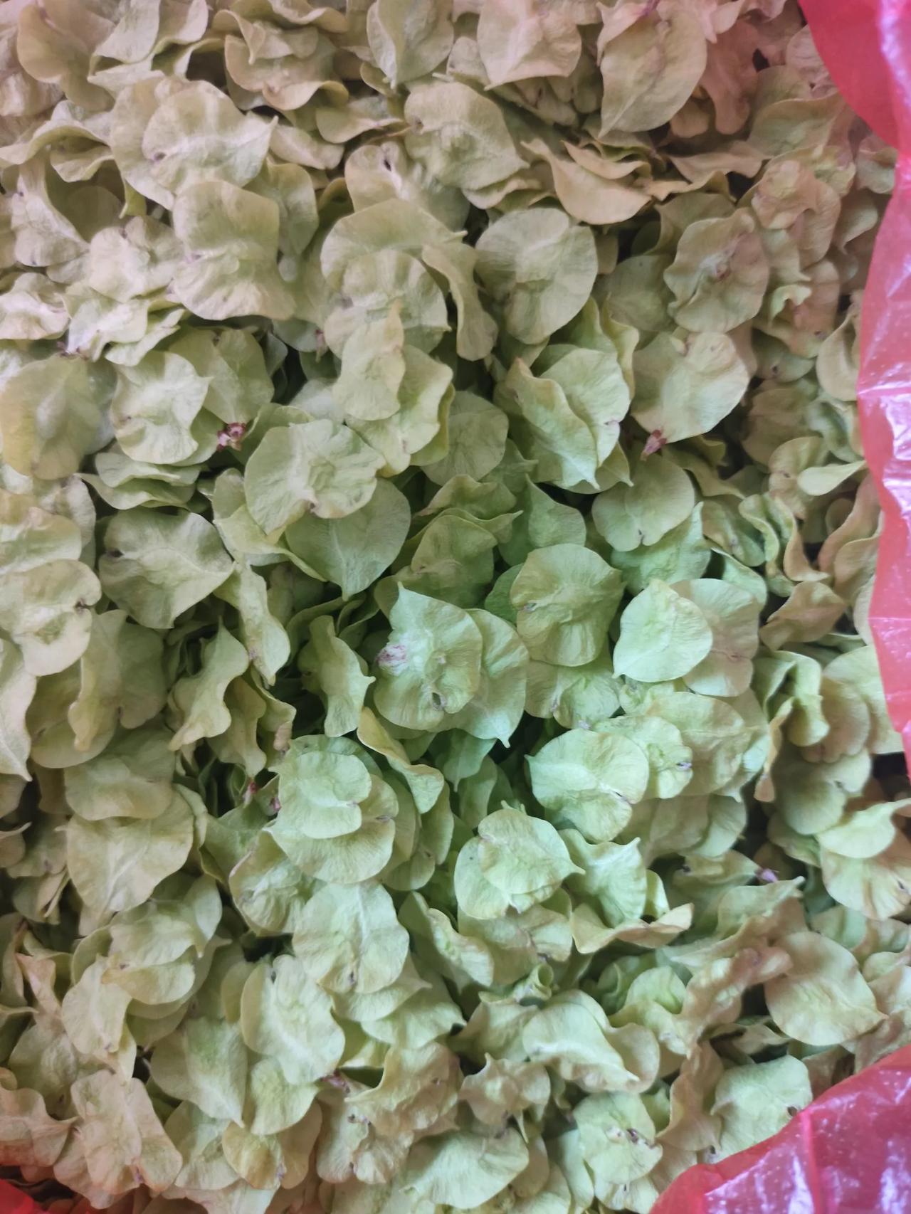 二，榆钱杂面窝窝，面粉加饺头或干酵母，加入豆面或其他的面粉，加入洗净的榆钱，和好