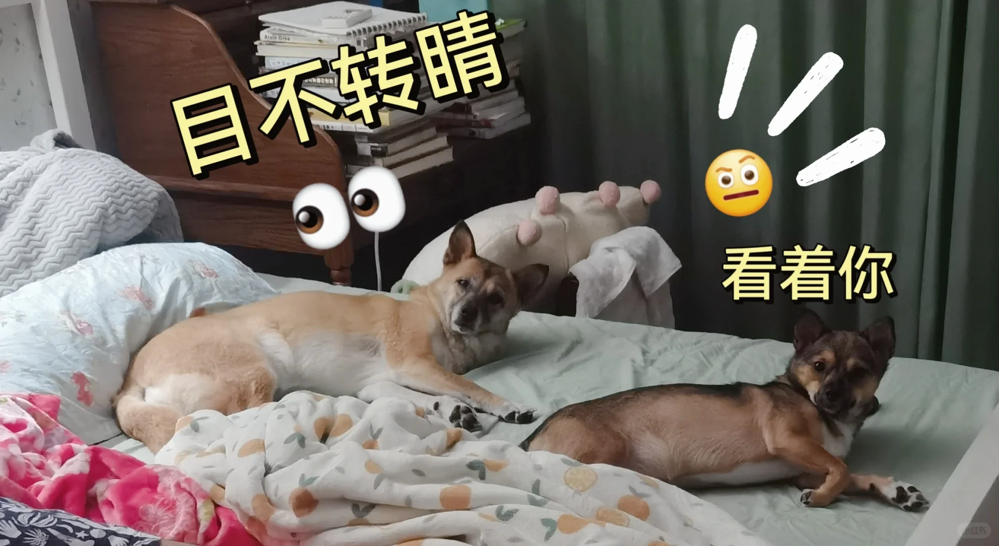 坏妈妈半夜十二点半自己偷偷溜走吃宵夜