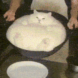 对的对的 ​​​