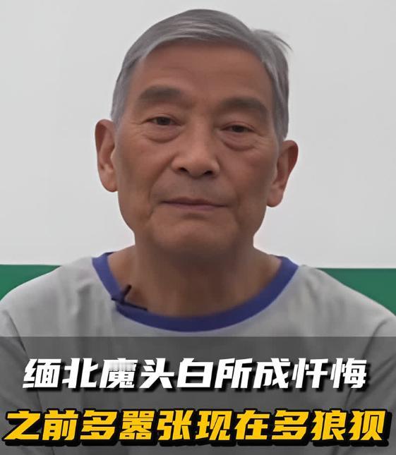 白所成果然被判处死刑！
白所成是1950年出生，已经过了75周岁。在国内的法律当