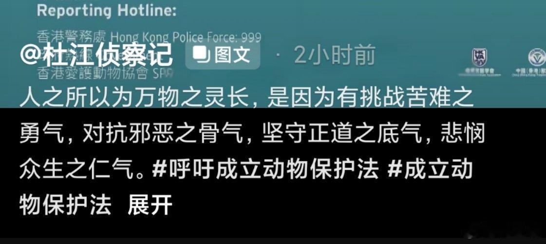 -杜江再次发声！(上一次发声已经看不到了) 