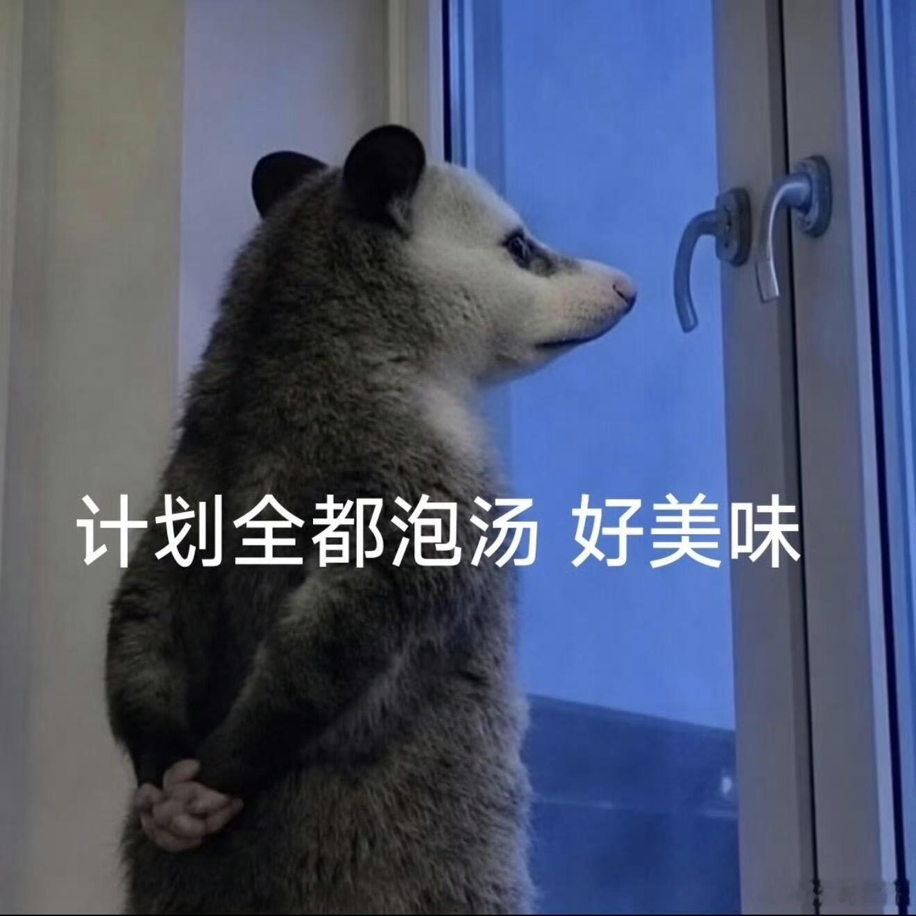 紫丝上蹿下跳在女足票房里蹦跶也未必只是单纯怕巴回血，我感觉他们是怕转念花开票房不