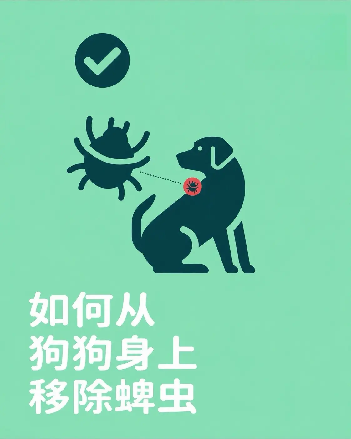 啊哦，蜱虫季来啦！日常遛弯，尤其是草地、林区，宠物很容易被蜱虫附着。 ...