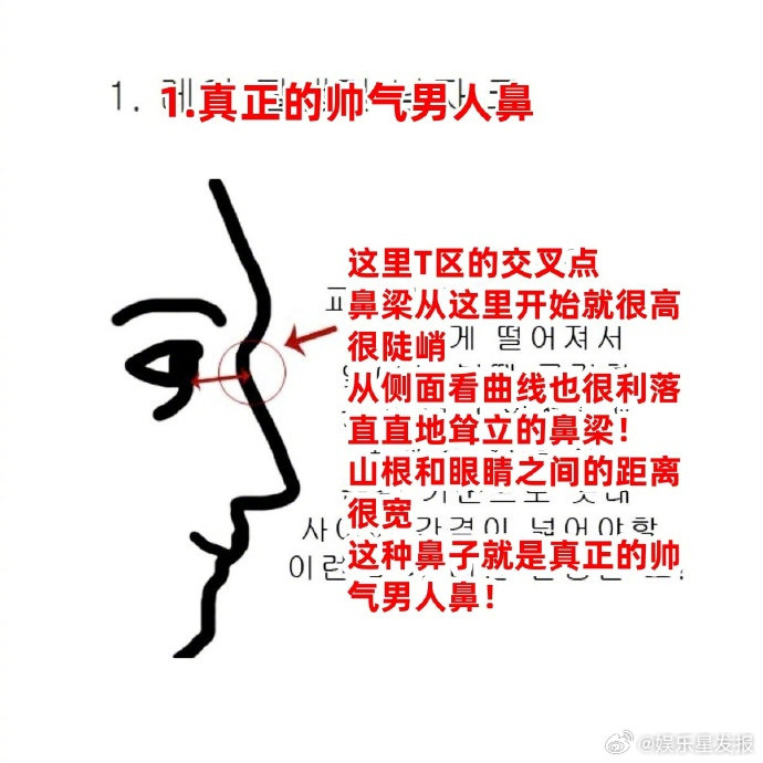 内娱帅气男人鼻 从山根到鼻尖，线条利落，立体感拉满，这就是传说中“撑起面部美学”