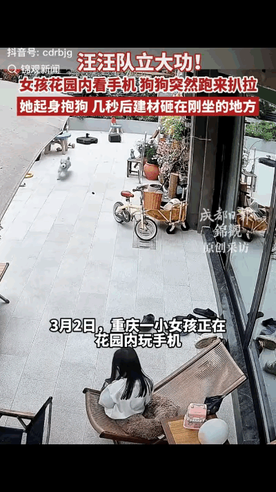 科学都解释不清了！重庆这只小狗，真的用本能救了小主人一命！
 
       朵