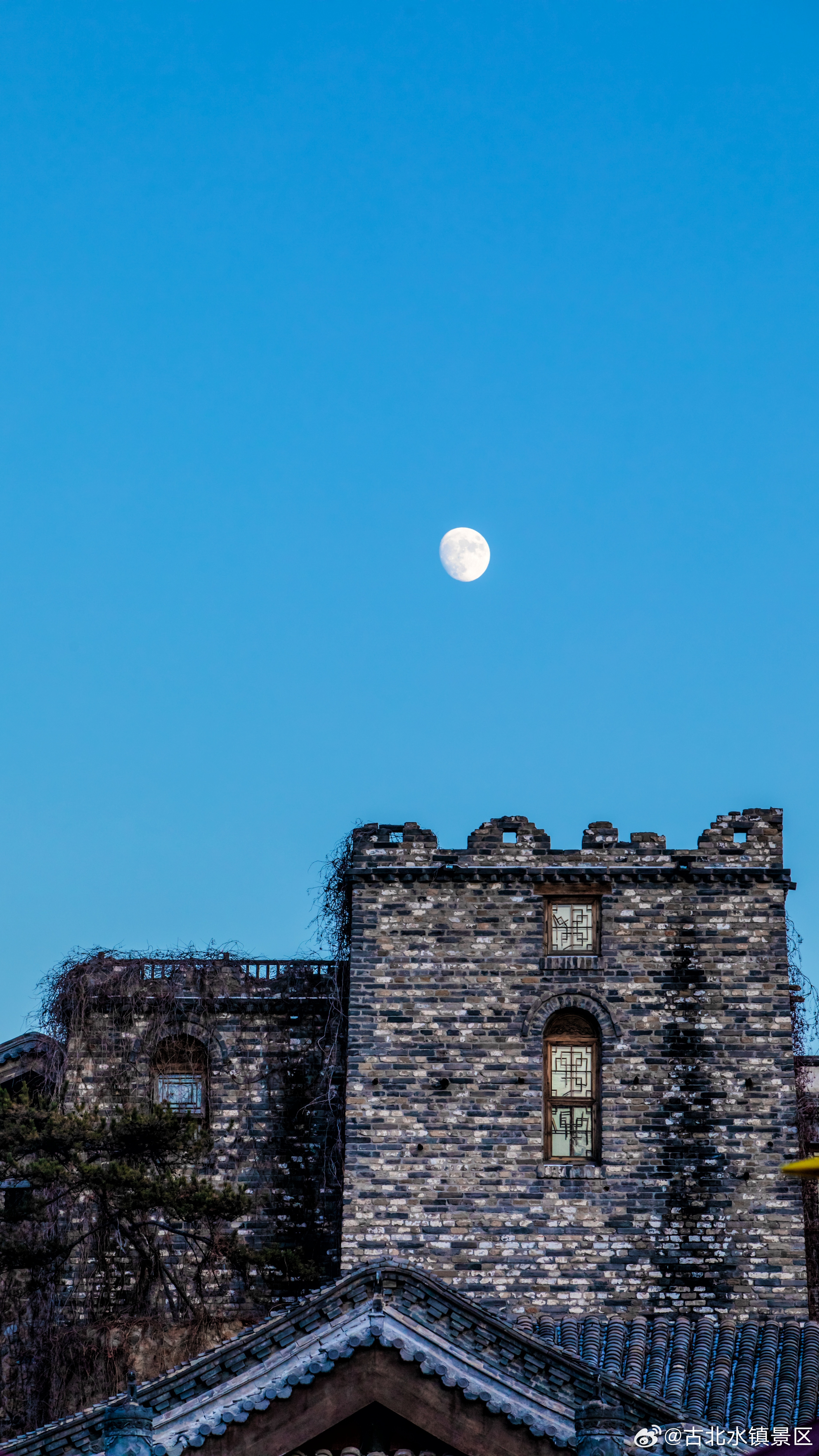 一起一落是人生一朝一夕是日子ᴳᵒᵒᵈ ᵐᵒʳⁿⁱⁿᵍ 🔅 早安,宝子们~