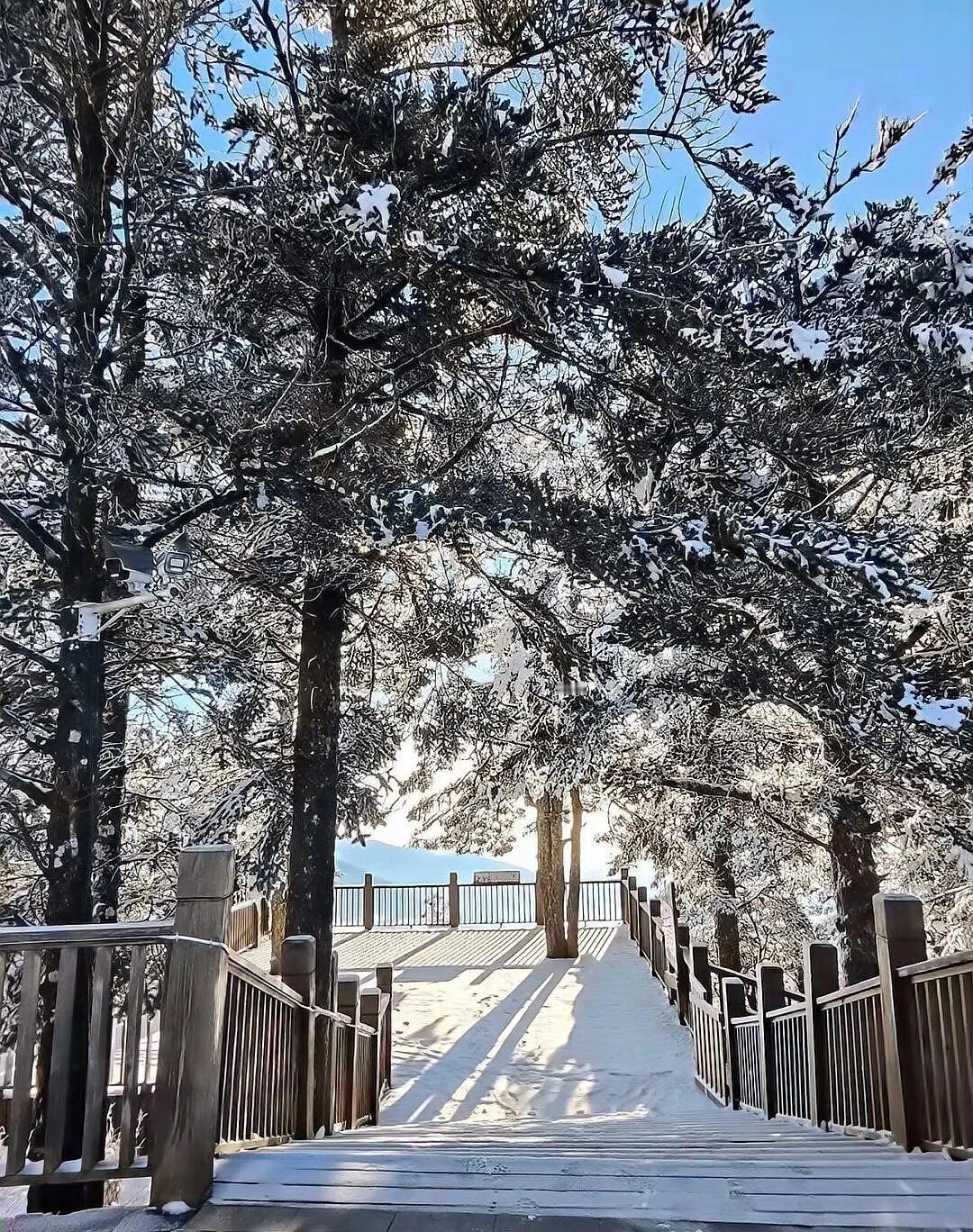 今冬首场大暴雪即将来袭，西藏部分地区甚至可能出现特大暴雪，这场降雪究竟有多猛？我