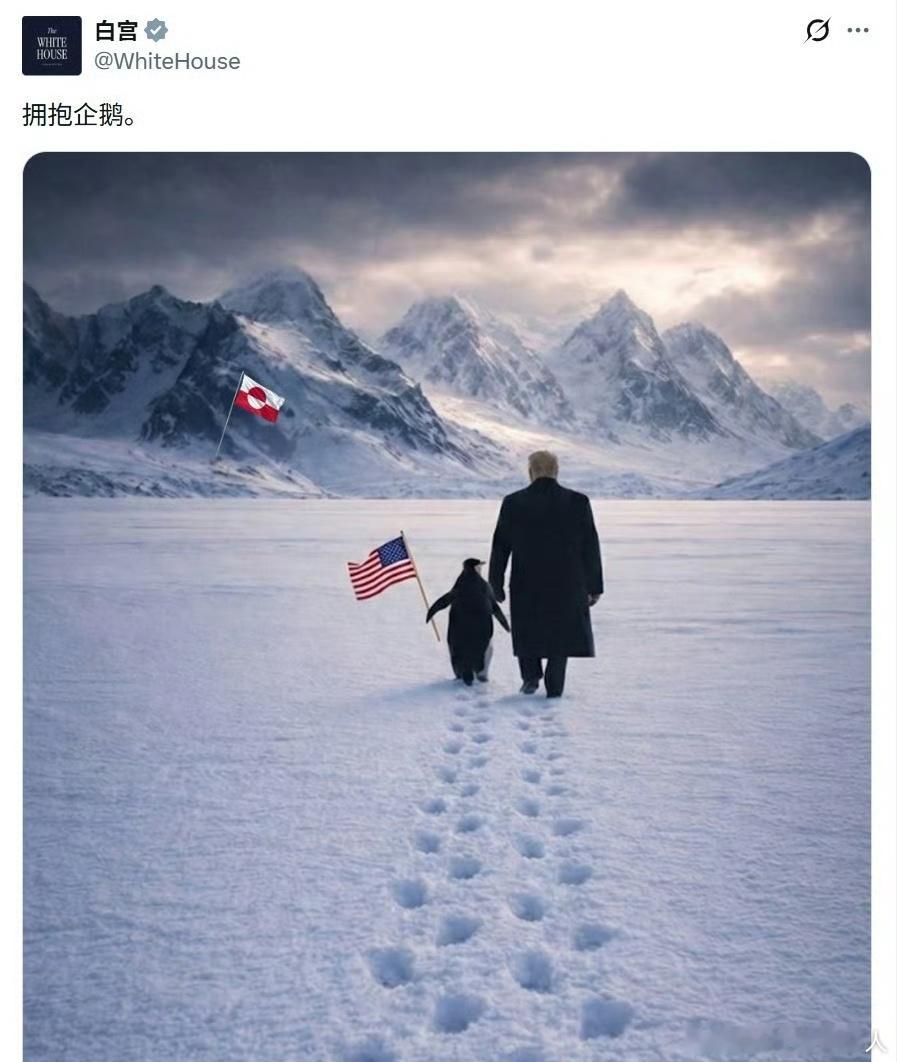 白宫晒特朗普格陵兰牵企鹅照翻车格林兰岛在北极，北极只有北极熊，为啥特朗普不牵着北