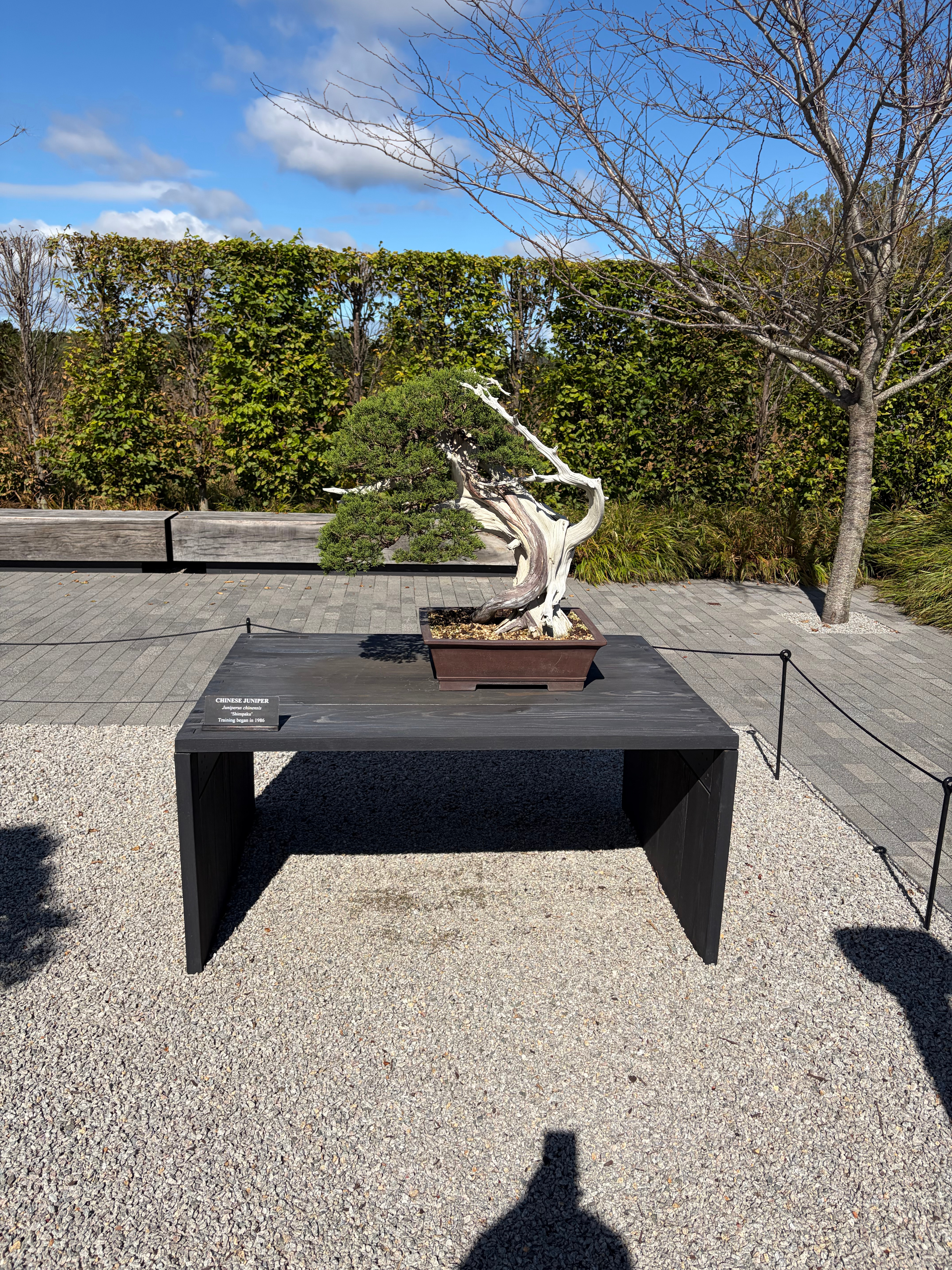 LongWood Garden 长木公园 美国·Longwood Gardens