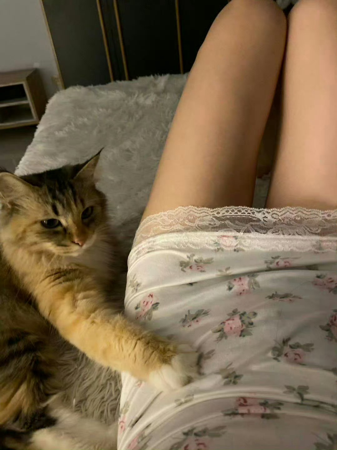 猫咪好可爱 