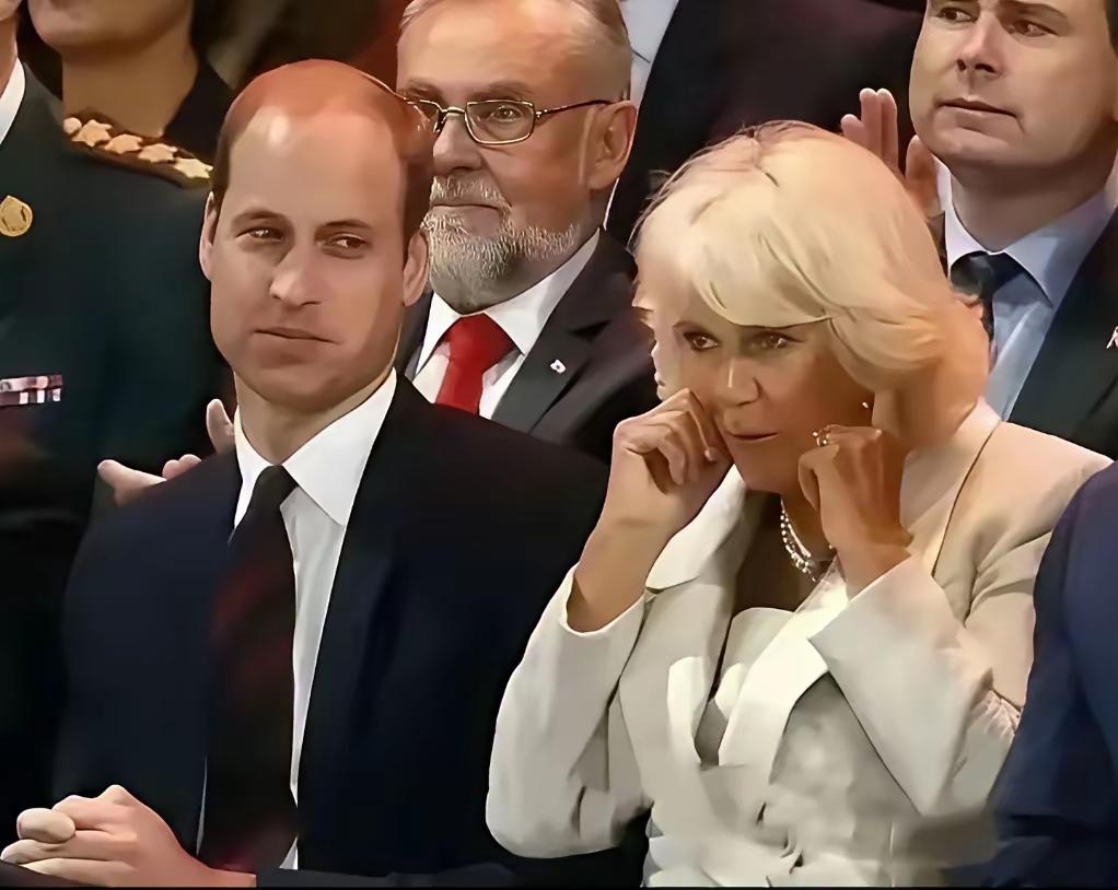 “面和心不和”，说的就是他们吧！
威廉和卡米拉，就是维持表面的和谐，对于这个继母