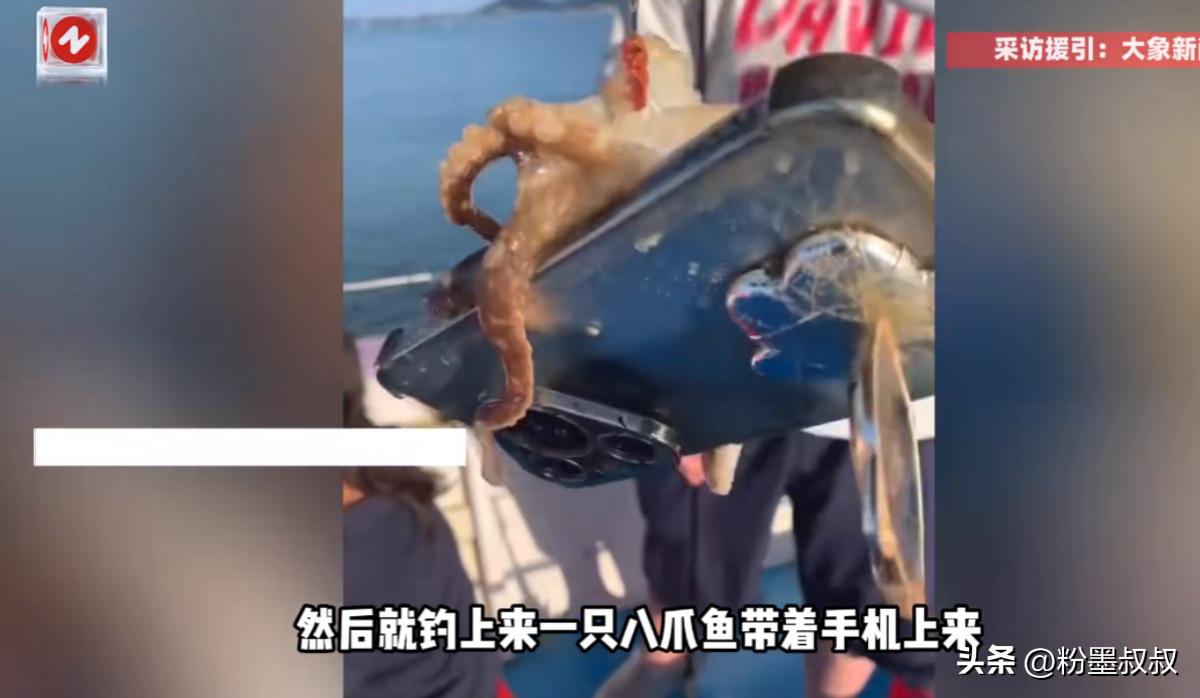 “这下赚大了！”9月28日，福建福州，一游客在海边钓鱼时，钓上来一只八爪鱼竟然死