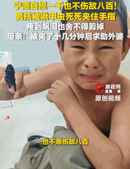 宁愿自损一千也不伤敌八百！江苏淮安，一男孩平日里视锹甲虫为珍宝，不料玩耍时手指竟