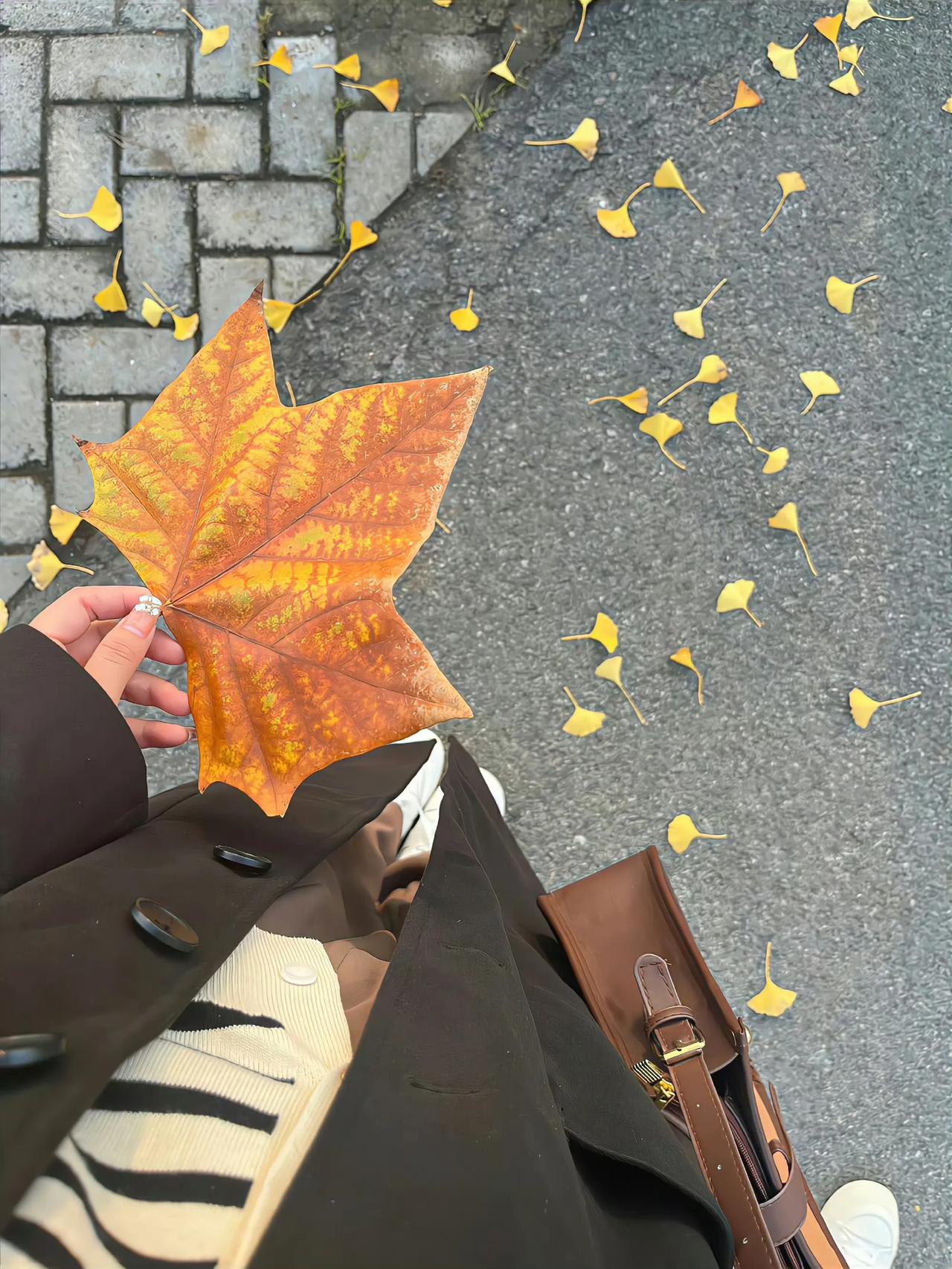 “ 不知不觉又到了卫衣,毛衣,红薯,板栗的季节 ”🍂