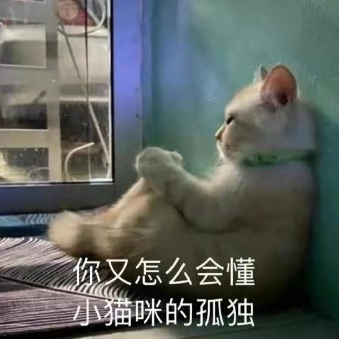 姐姐窝想泥 