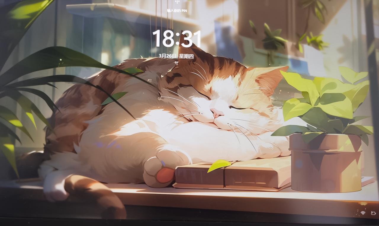 为什么越懂事的女人，在婚姻里越委屈？
         因为懂事的女人习惯了体谅