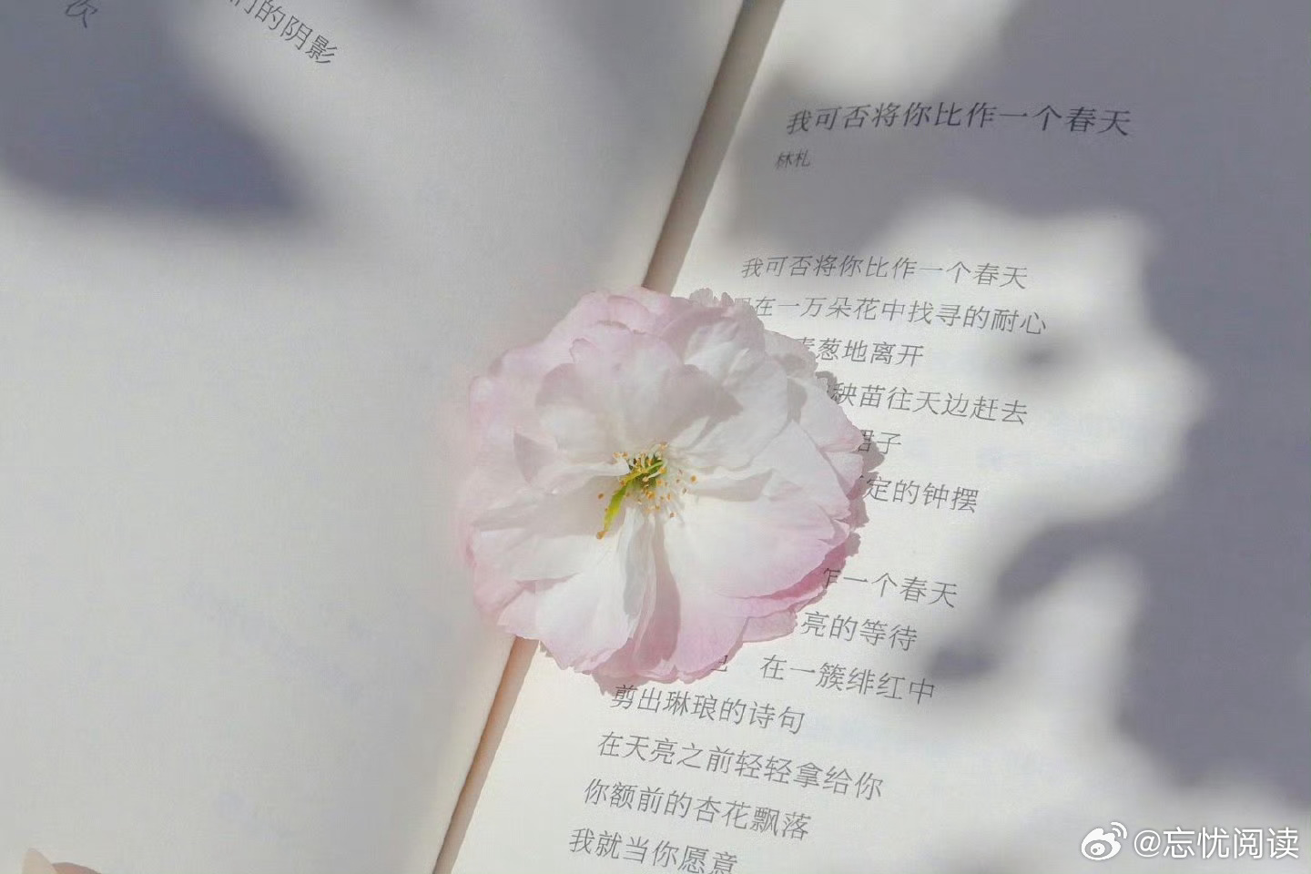 哲学家巴克莱的幸福三要素：有希望，有事做，能爱人。​​​