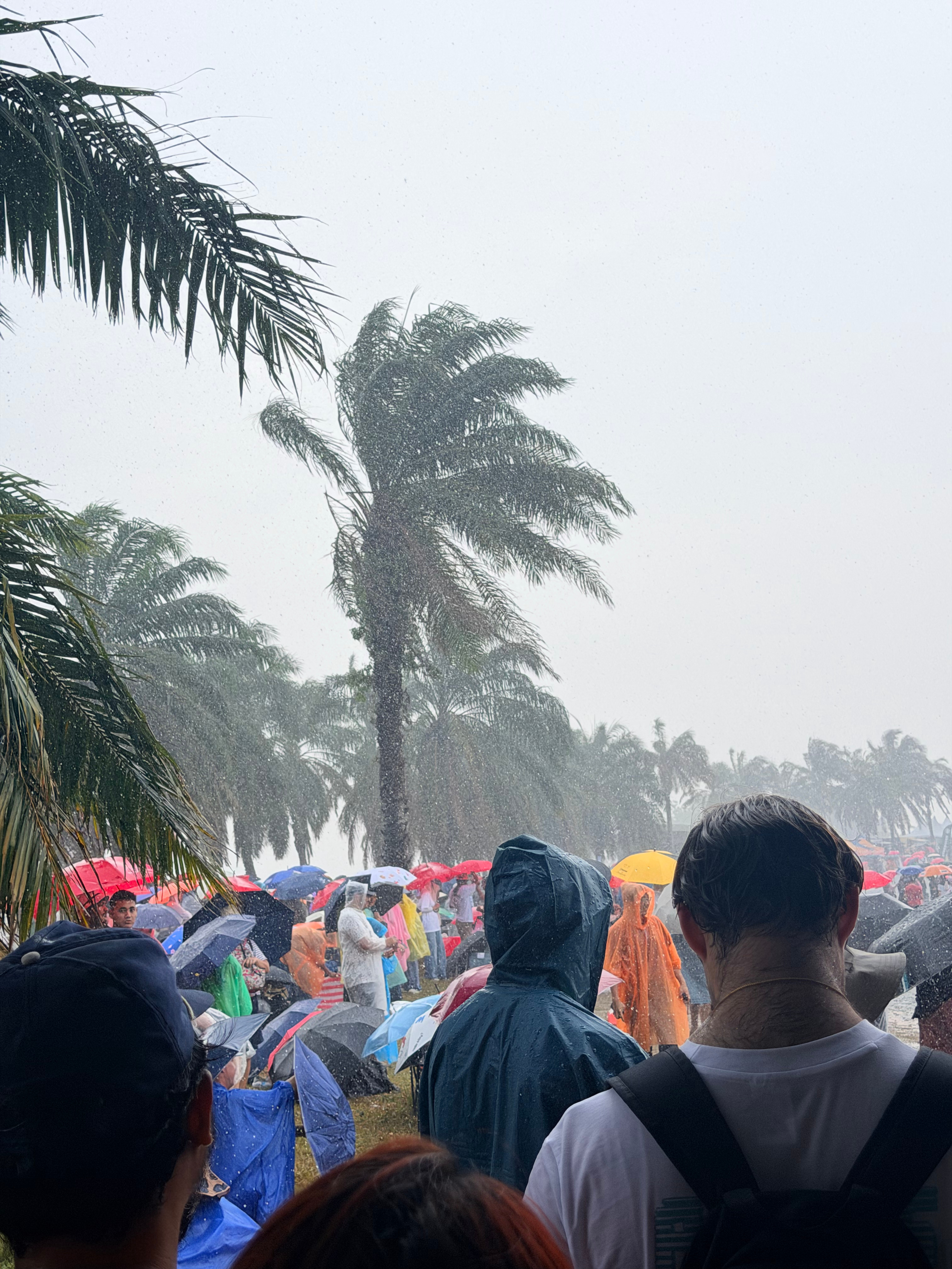 绝！这大雨！ ​​​
