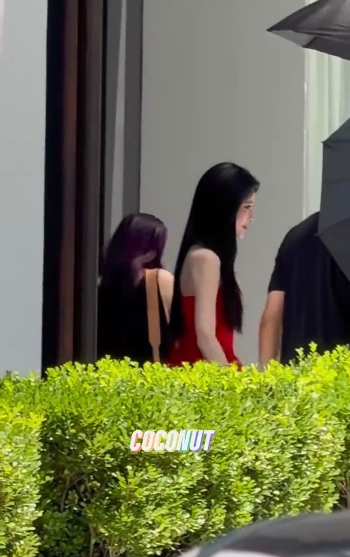 孟子义上了我给她报的网课世间怎么会有孟子义这么好的人，接住粉丝所有心意，认真上网