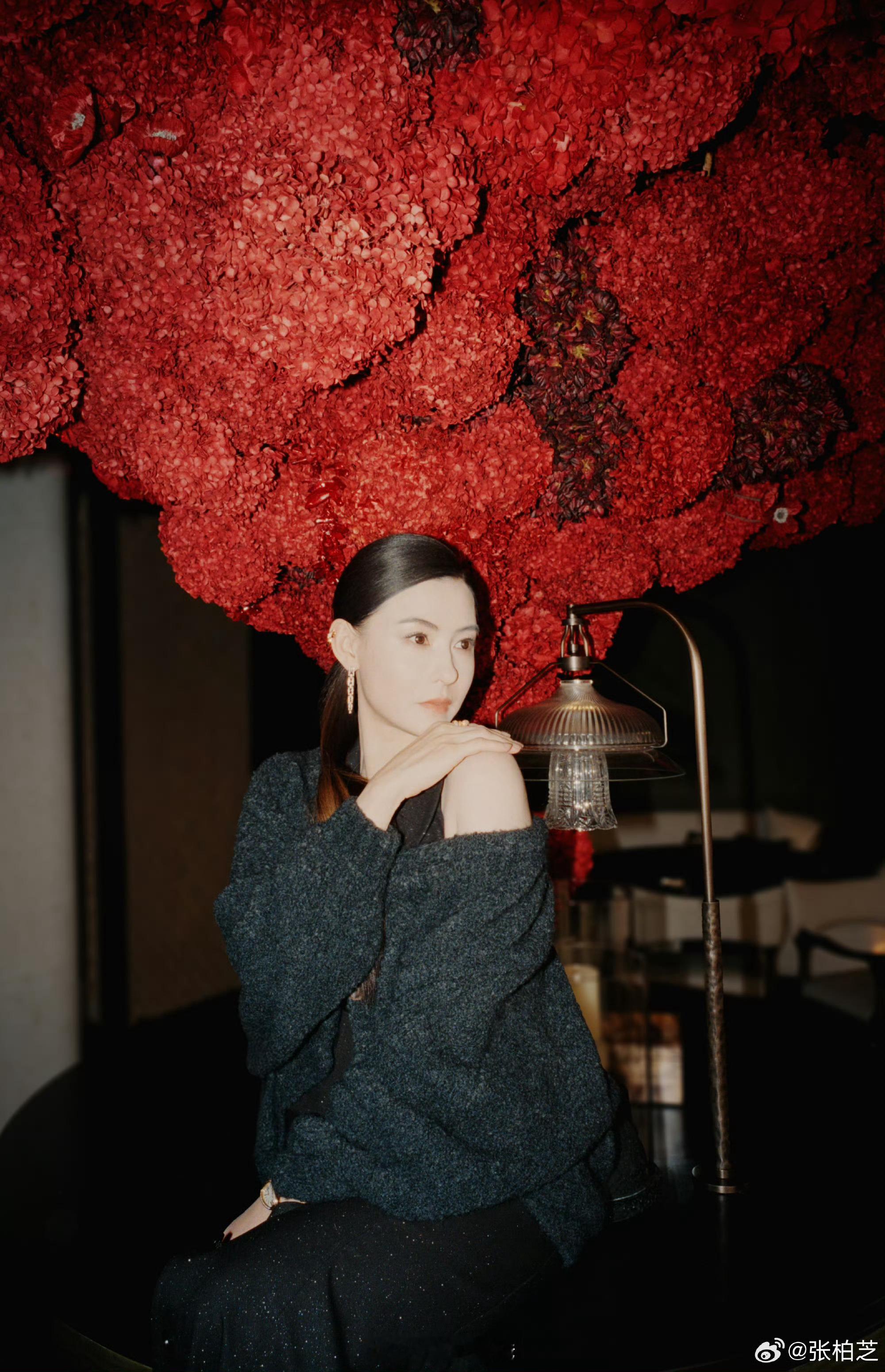张柏芝永远的神女~ 