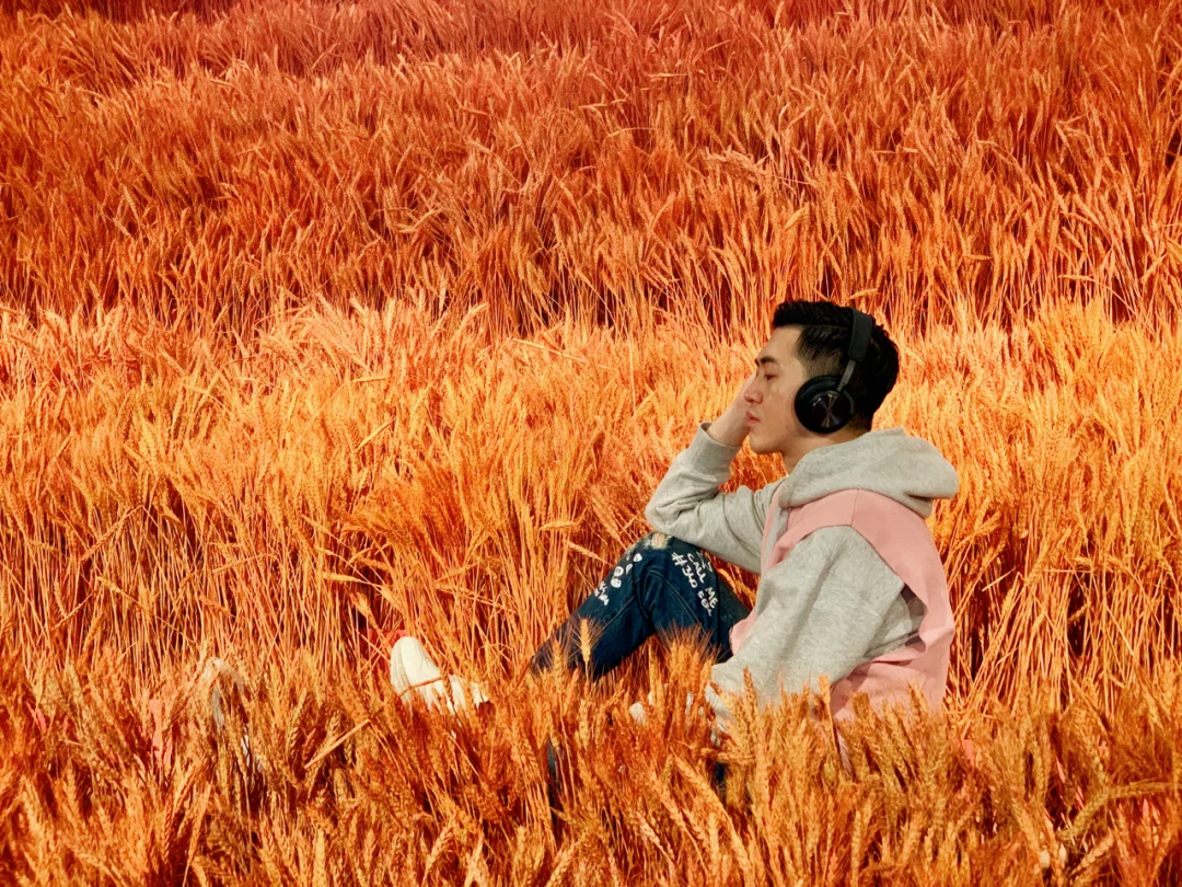 H⃣A⃣P⃣P⃣Y⃣ N⃣E⃣W⃣ Y⃣E⃣A⃣R⃣ ❤️✨