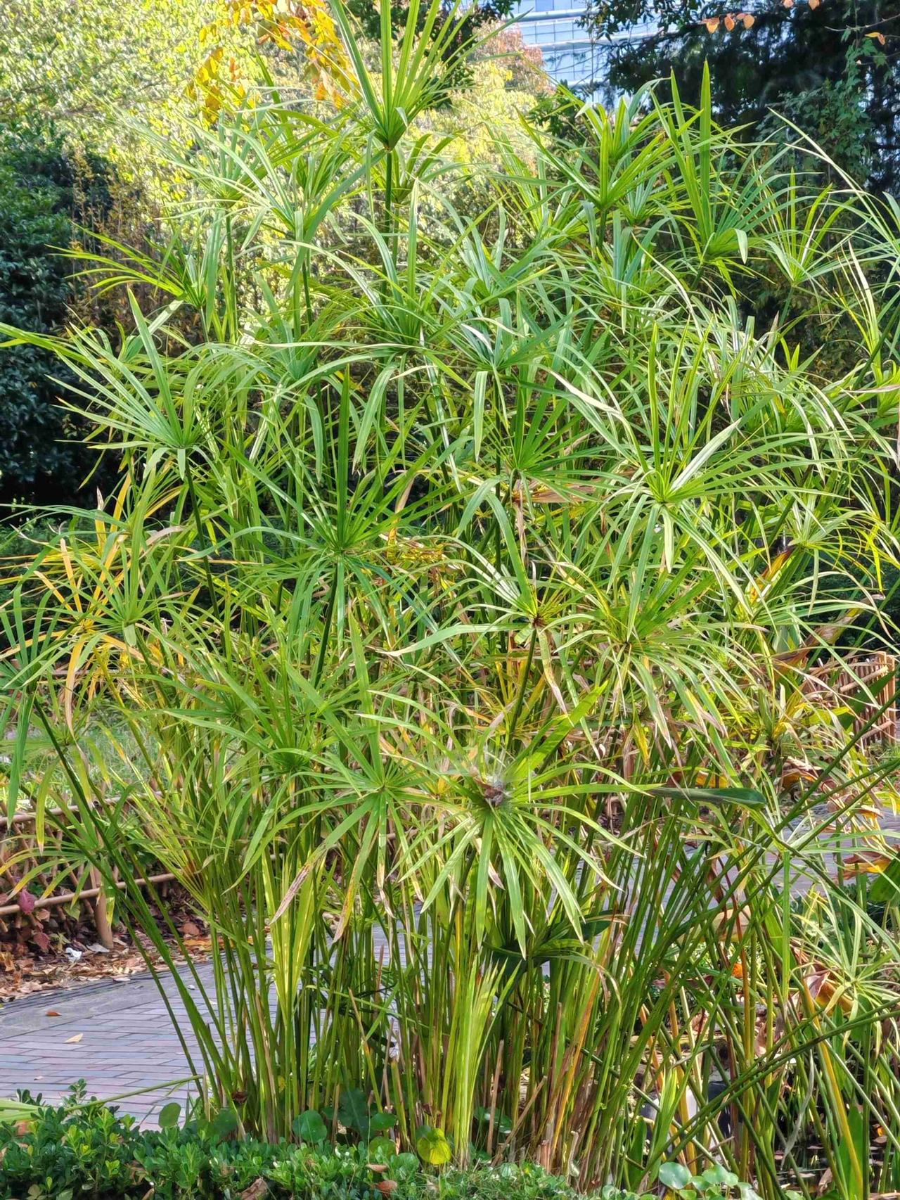 不用往下翻了，助力上面👆的移动云合集、东风岚图泰山合集、鸿蒙系统就好 

带定