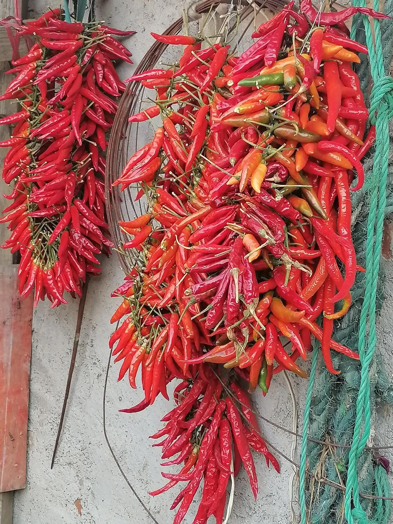 岁月如诗吟万古，
油盐似曲谱千家。