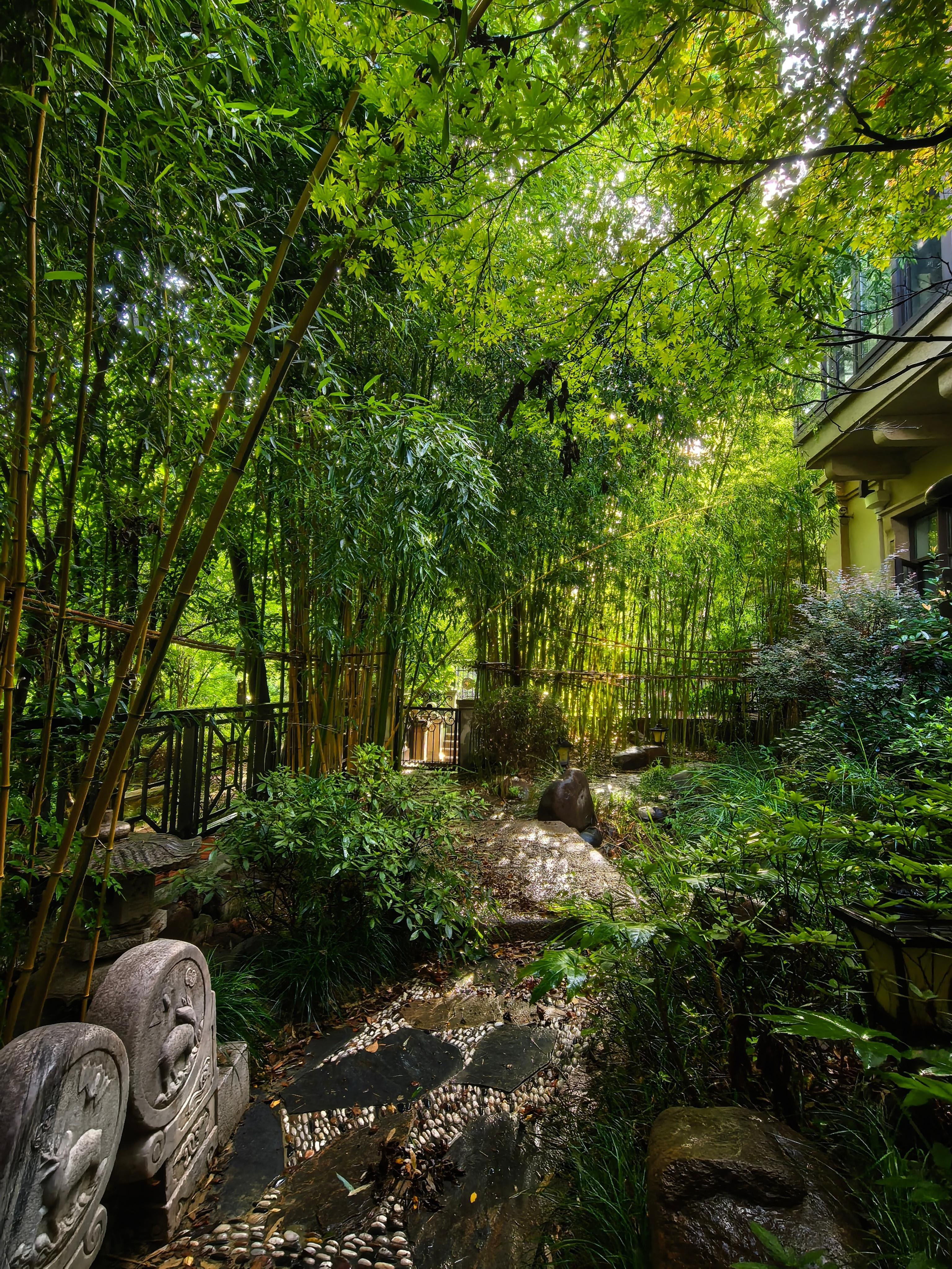雨过天晴的早晨 ​​​