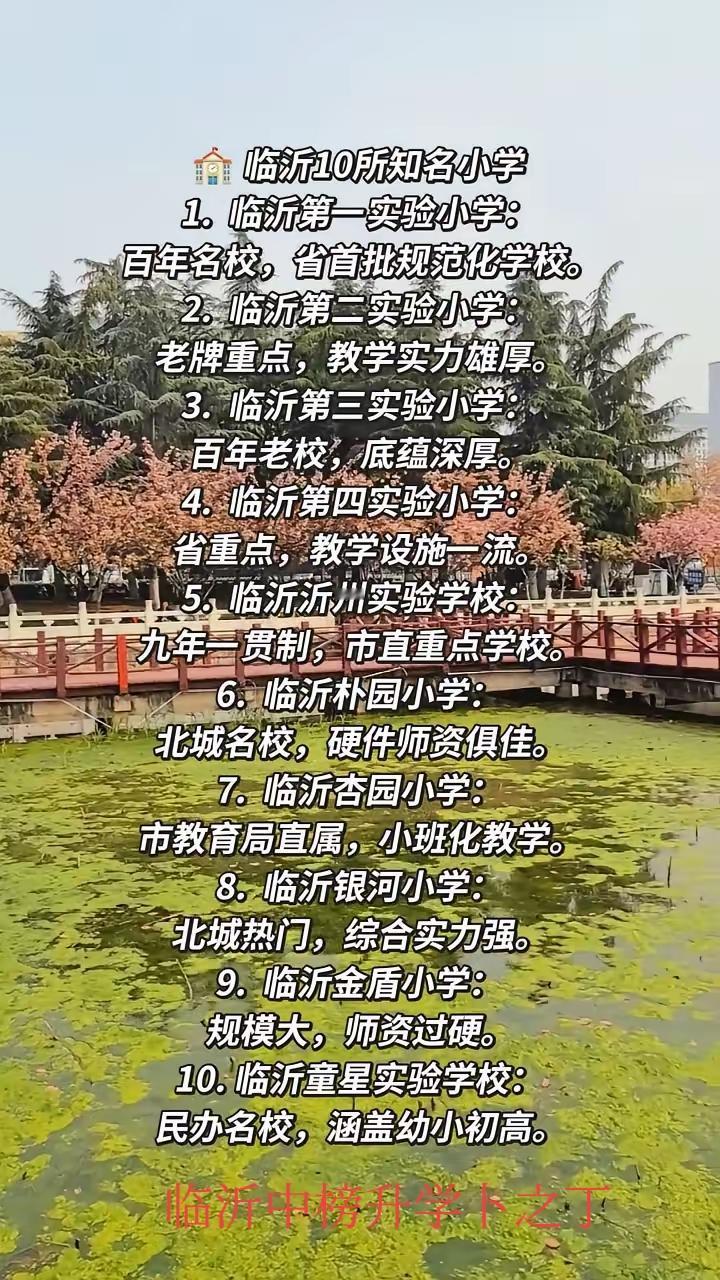 这是一位网友把临沂小学的排序，这里不用排名，用排序，也就是说，小学阶段没有啥名校