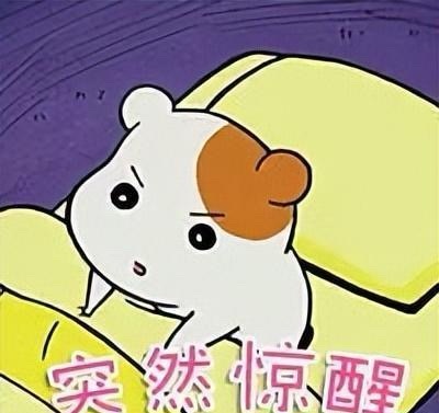 五一被iphone闹钟叫醒了五一本想睡懒觉，没想到被iPhone闹钟无情唤醒。看