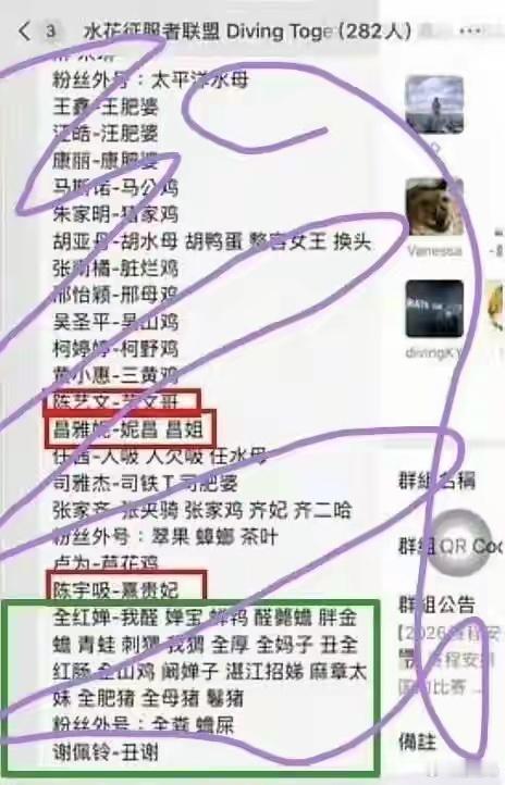 回溯全红婵的成长轨迹，14岁一战成名、斩获奥运冠军的经历，本是“草根逆袭”的励志