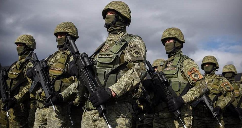 俄乌战争两周年，俄军越战越强，而有着北约撑腰乌军越打越烂。我在想现在就是北约军队