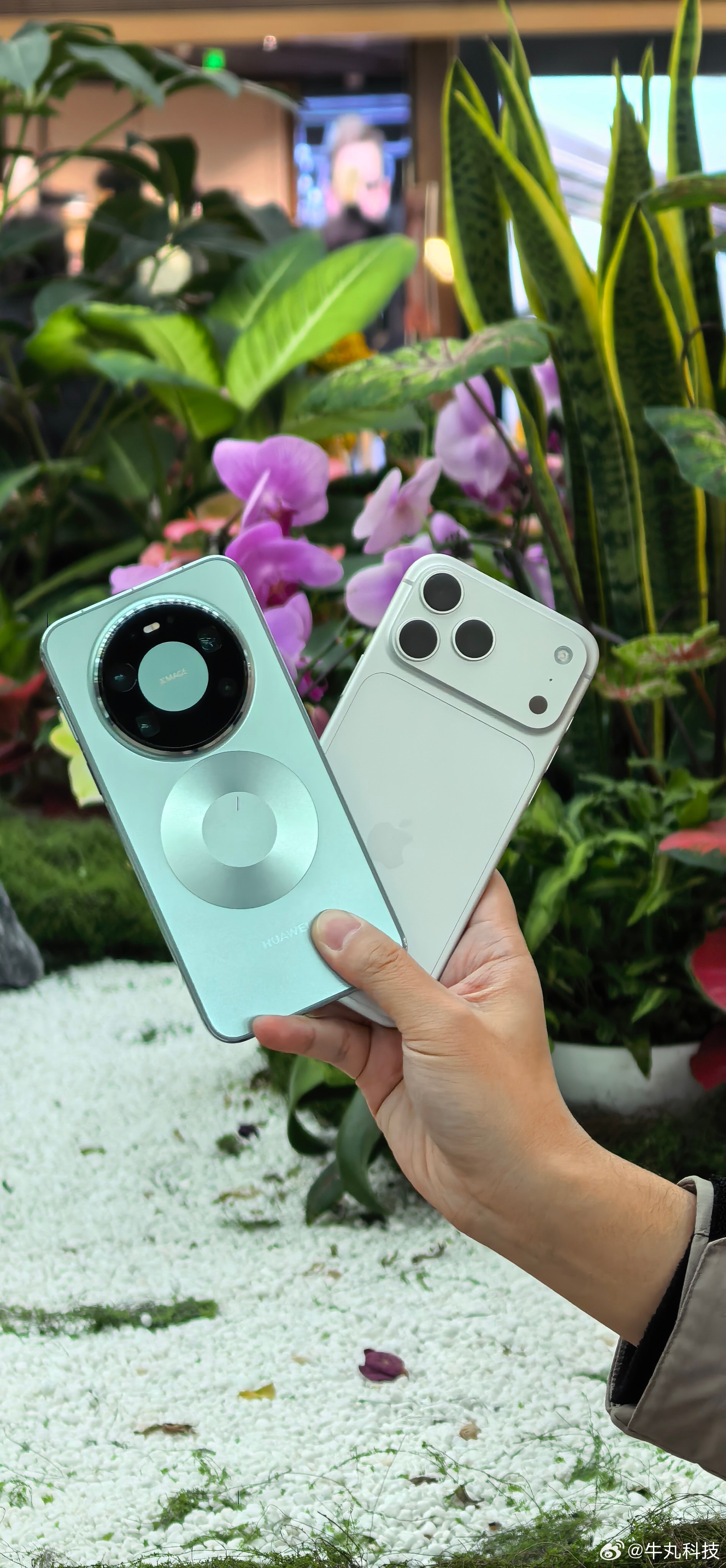 iPhone有的国产手机就要有吗完全没必要，iPhone 早已不是唯一标杆，国产