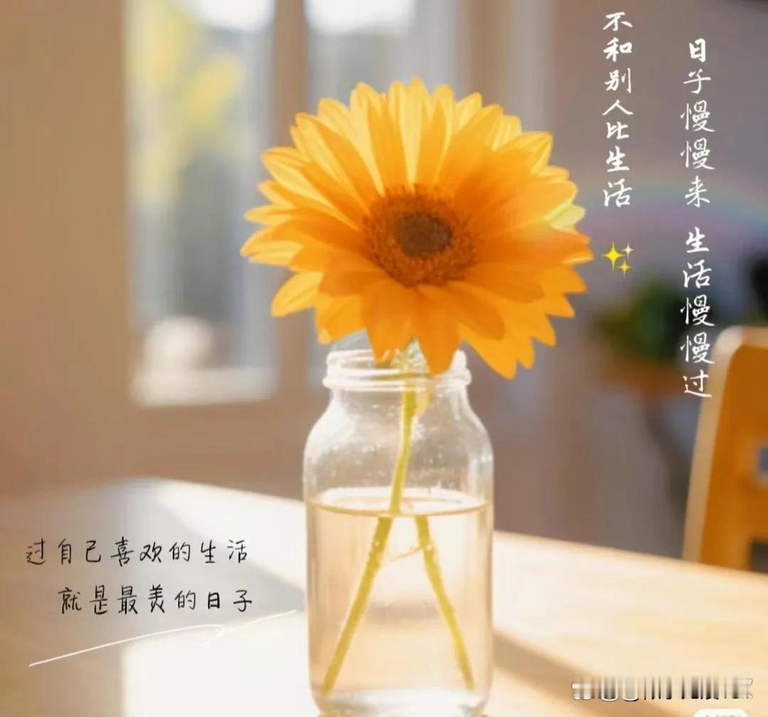  
平安喜乐就好
超赞的一句话："长路漫漫，终有归途，这路遥马急的人间，你我平安