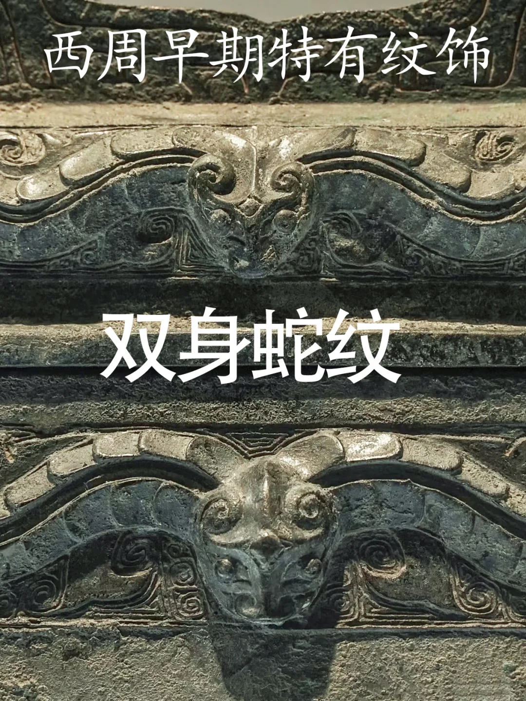 双身蛇纹应是西周早期宗周祖庙者专属纹饰