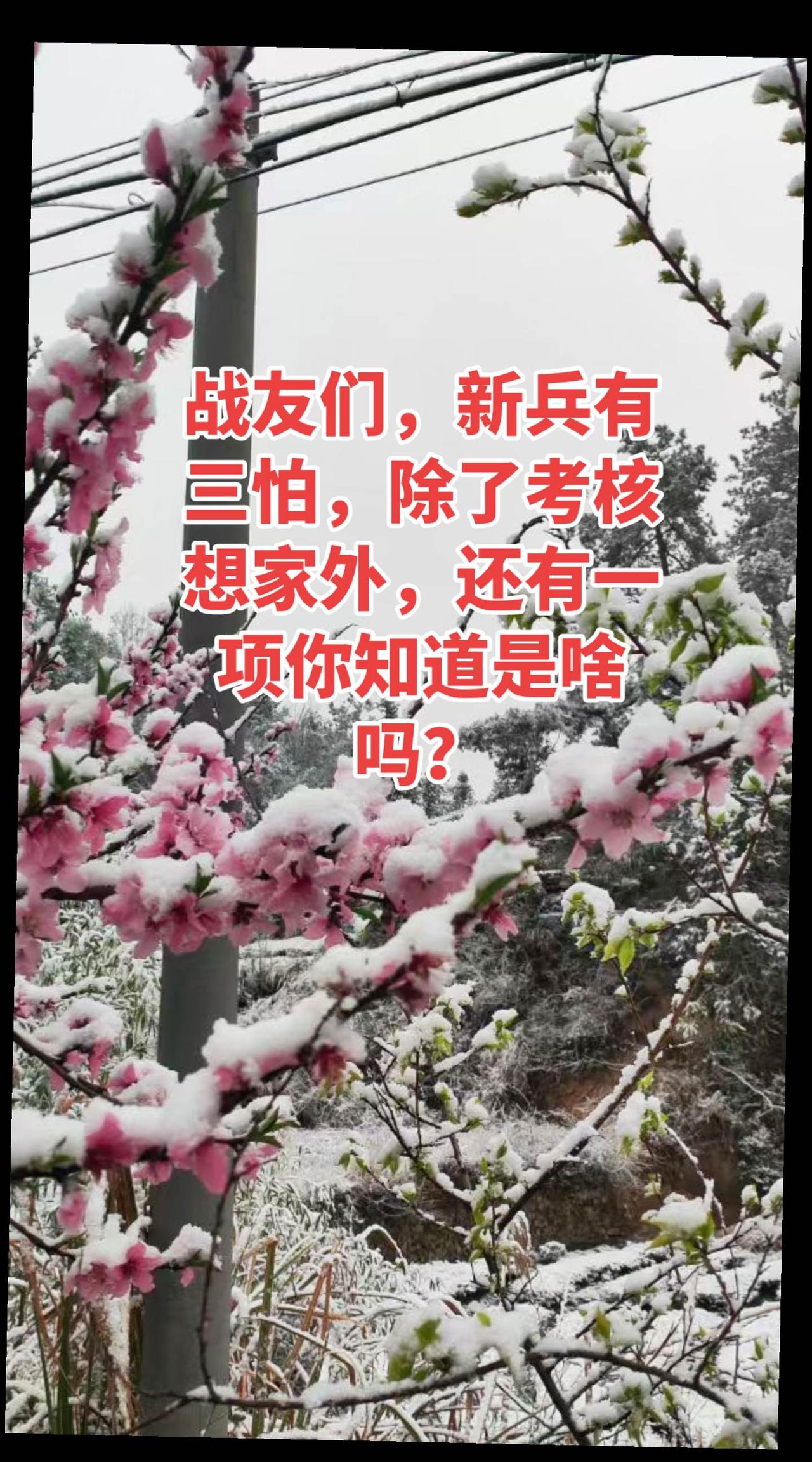 （军旅回忆16）难忘的第一次紧急集合。真实生活分享计划原以为这温馨的一夜能好好睡