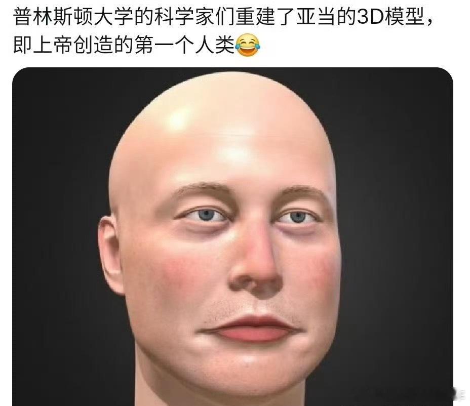 普林斯顿大学3D重建的亚当，不得不说，老美把人情世故拿捏的很到位[笑cry] 