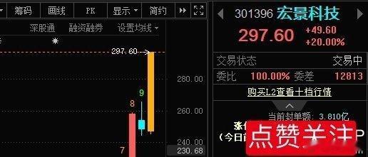 嗯，宏景科技301396📈喜提20CM大长腿