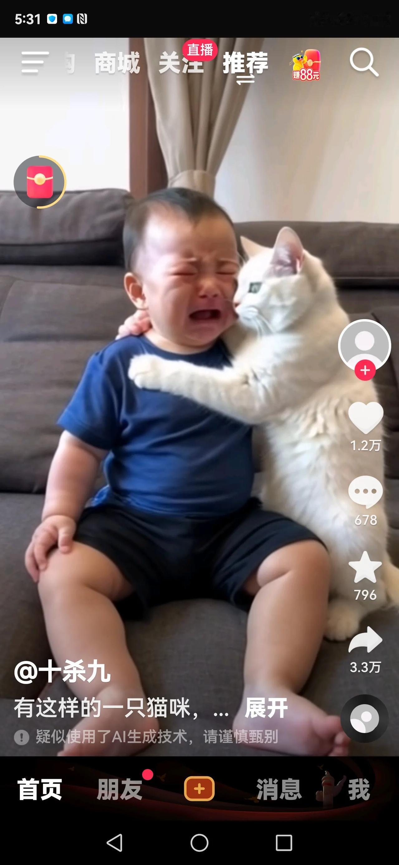 本年度感动中国年度人物颁奖给这只猫咪，您赞同不？
哭泣的小男孩那么伤心。
小猫咪