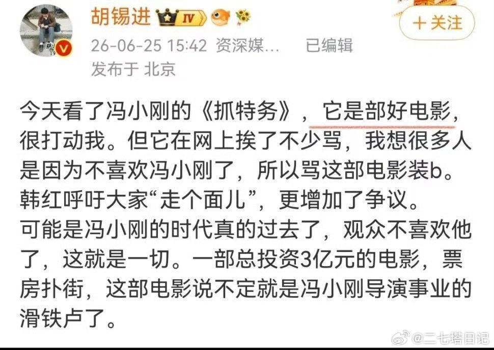 胡锡进评价抓特务与给阿嫲的情书 