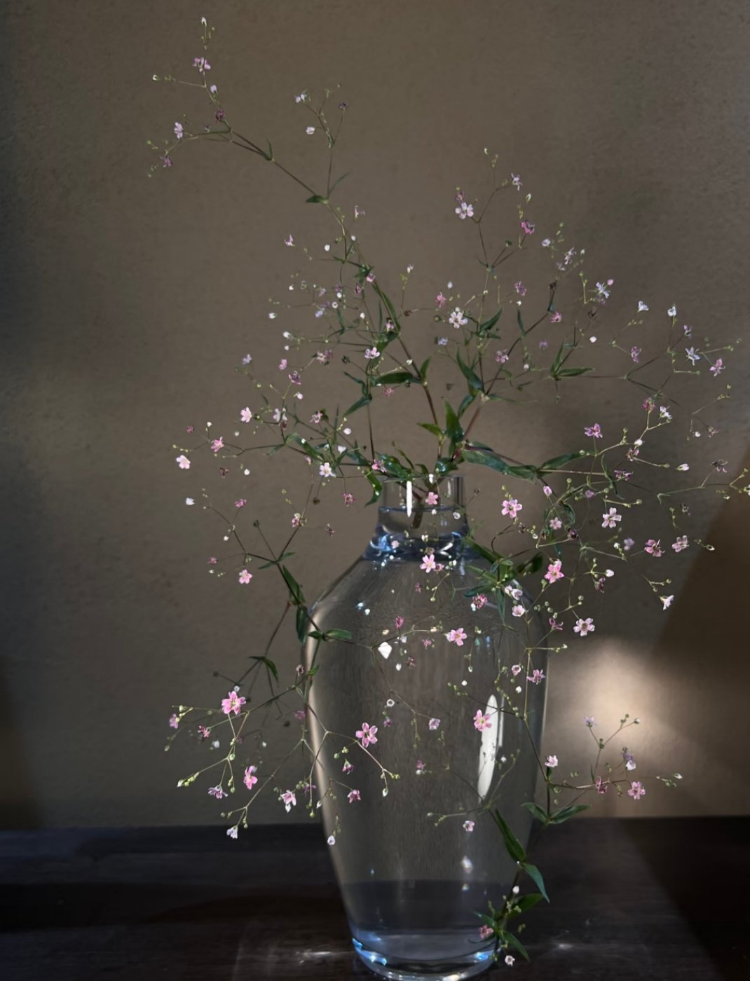 秘密，很像细细密密无法诉诸于人的少女心事 