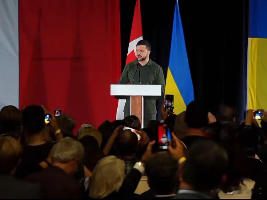 乌克兰无人可用 外国兵当炮灰 雇佣军为何连夜逃亡

最近网上传得厉害，说乌克兰前