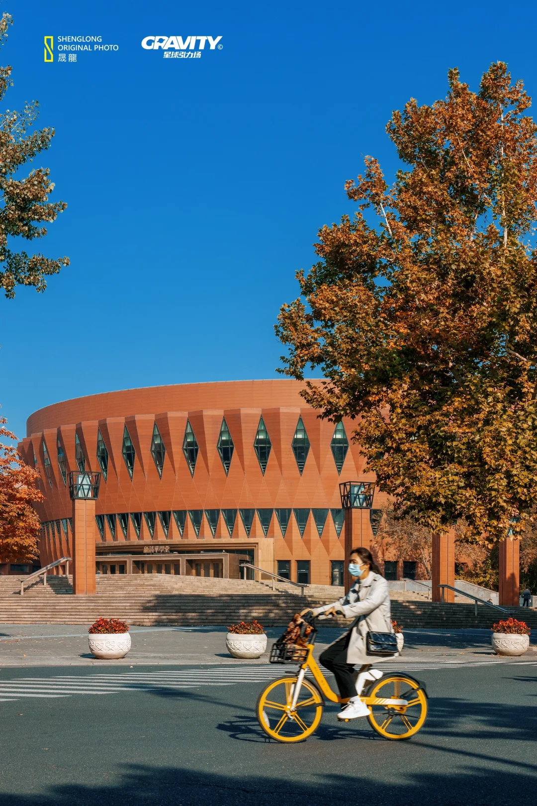 清华大学的秋色已经加载完毕✅