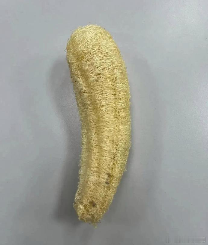 用你们那边的方言怎么说的？ 