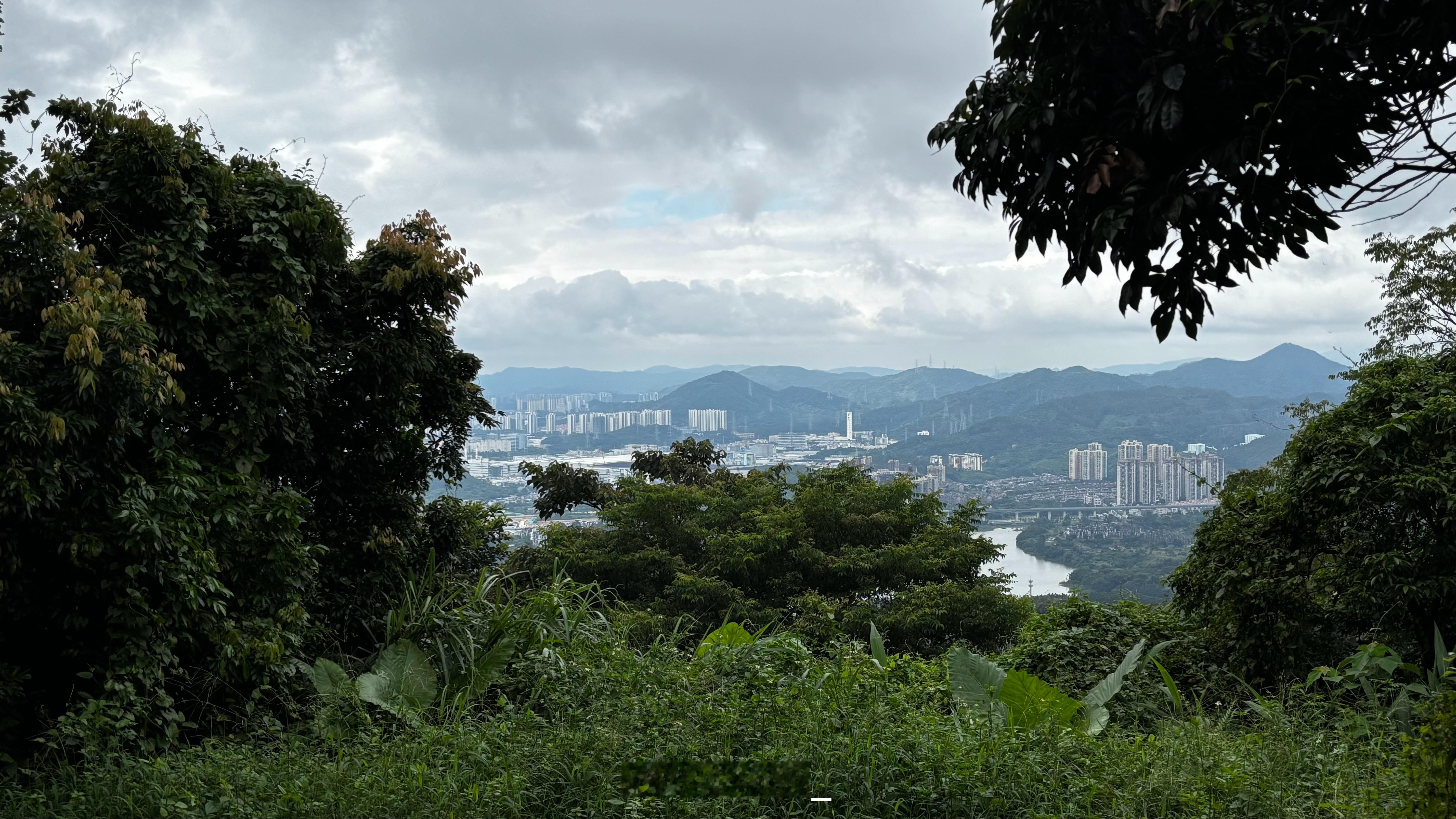 鸿蒙智行8月交付42101辆又到一号开始准时发战报了等我下山回去汇总写图文[do