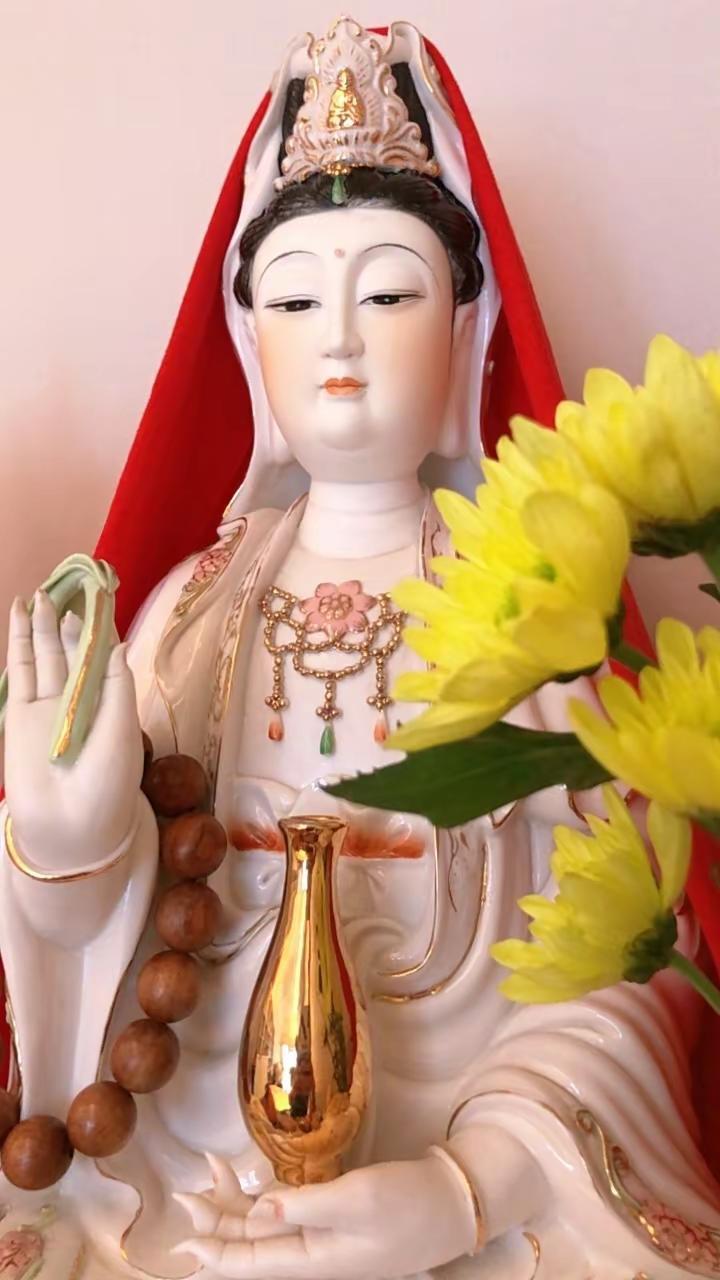 感恩，生活！六时吉祥如意🙏