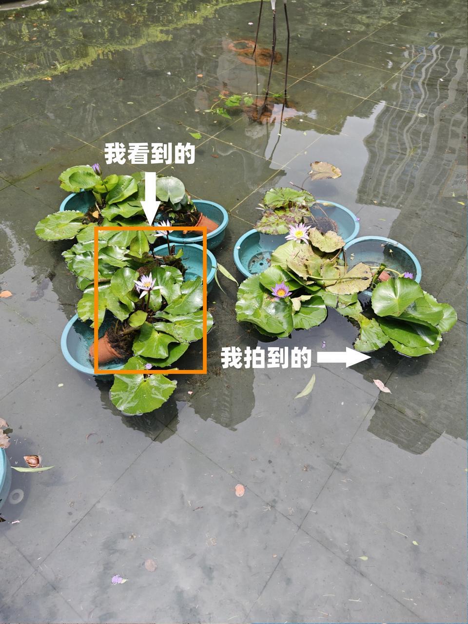 所谓的“摄影眼”，其实就是构图的意识
长焦可以压缩空间，让画面更感觉和有冲击力